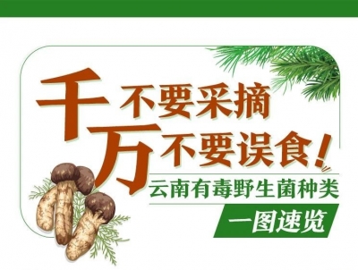 一图速览！这些有毒野生菌种类千万不要采摘和食用