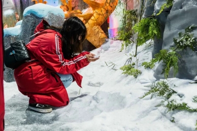 暑期来临，到大理天龙八部影视城冰雪大世界清凉一“夏”！