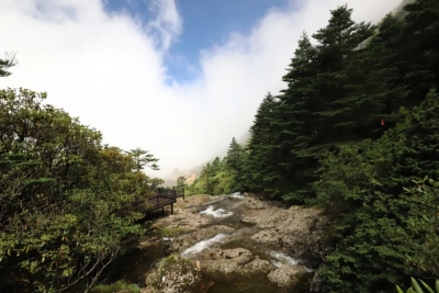 肆意周末 | 来轿子山，顺便在转龙镇乡村休闲二日游