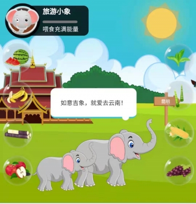 小象模拟投喂小游戏上线 你心动了吗