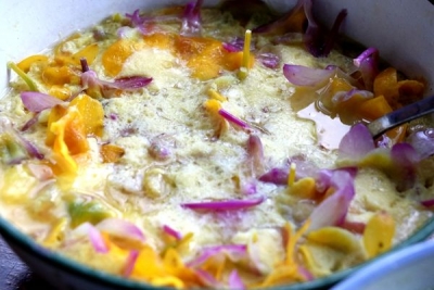 保山龙陵：全力打造中国石斛之乡