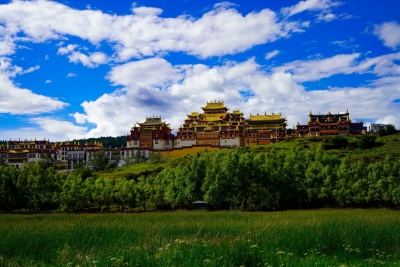 图集丨香格里拉松赞林寺：夏日风光美如画