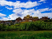 图集丨香格里拉松赞林寺：夏日风光美如画