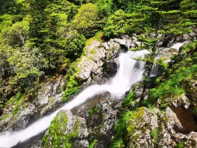肆意周末 | 来轿子山，顺便在转龙镇乡村休闲二日游