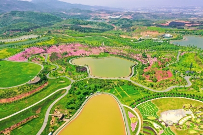 图集丨太平湖森林小镇景区