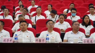 临沧市文化旅游系统召开党史学习教育大会