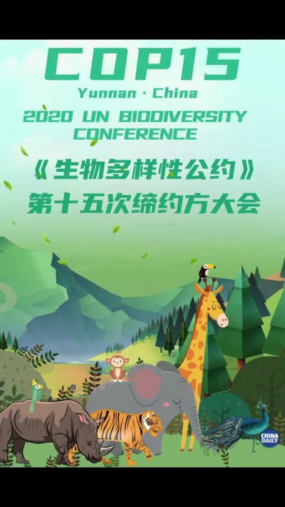 视频 | 什么是生物多样性