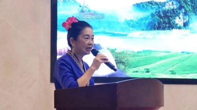 临沧乡村旅游推介活动亮相西双版纳