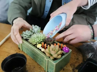抚仙湖·广龙小镇鲜花艺术节 | 花艺沙龙限定邀约，邂逅“花”样生活！