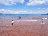 图集 | 澄江红沙滩 浪漫的颜色