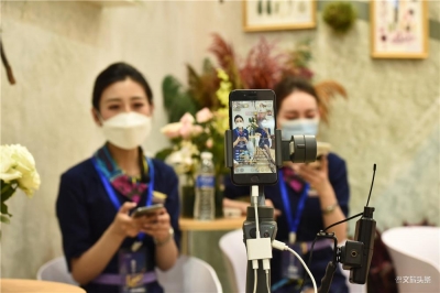 云花持续绽放第十届花博会，展品获奖257个，接待访客40万人次！