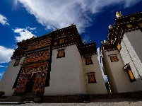 图集丨香格里拉松赞林寺：夏日风光美如画
