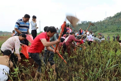 劳动竞赛舞台搬到田间地角，为乡村振兴，打造世界一流“三张牌” 注入强劲动力