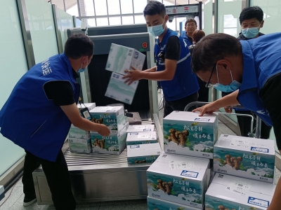 云品出滇！高铁助力云南野生菌远销
