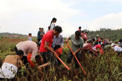 劳动竞赛舞台搬到田间地角，为乡村振兴，打造世界一流“三张牌” 注入强劲动力