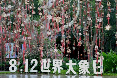 共建人象和谐家园 第六届世界大象日系列公益活动在野象谷举行