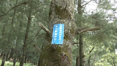 坚持绿色发展理念，永仁县永兴乡践行“绿水青山就是金山银山”