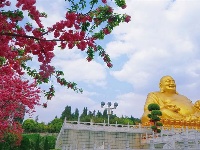 图集丨弥勒锦屏山