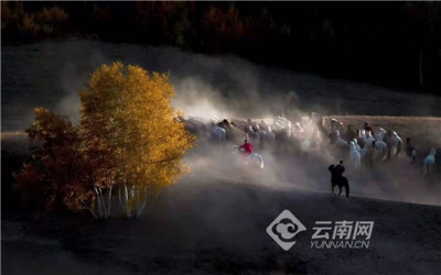 赤峰文旅推介会走进丽江
