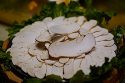 快来看看有没有你的爱豆？网红大咖齐聚中国•南华第十八届野生菌云上美食文化节！