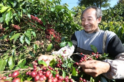 恭喜“普洱咖啡”获国家地理标志产品保护