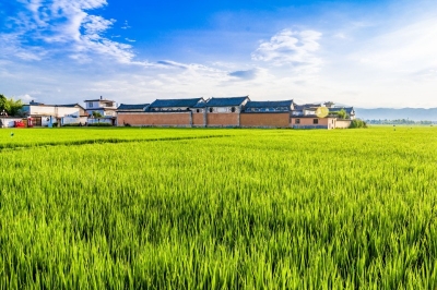 今日处暑｜凉风送秋来，享云南之美！