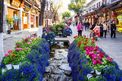 欢迎新同学！一生必来的大理这样玩