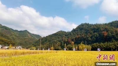 9月将至，这些新变化事关孩子、票子和房子！