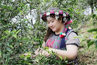 墨江这家非遗扶贫就业工坊，带动723户贫困户走上致富路（文末含福利）