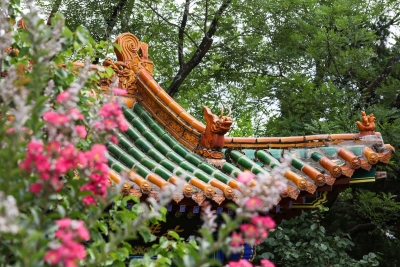 云之美·匠心铸精品|昆明世博园·中国室外展区——山西槐香园