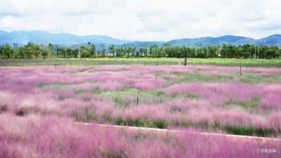 初秋到玉溪，美景、美食享不停！