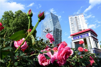 快来为云南入选“2021中国最具幸福感城市”的候选城市打call，看看有你的家乡吗？