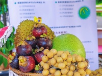 图集丨2021“泰国厨房迈向世界”美食节