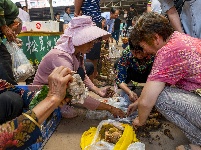 图集 | 吃菌季来袭 快来中国南华野生菌交易市场感受野菌飘香