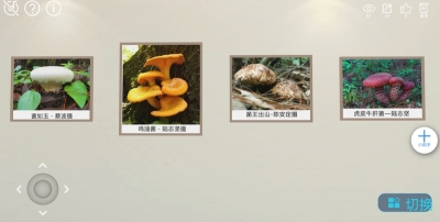 云端菌宴 数你最菌丨中国•南华第十八届野生菌云上美食文化节摄影展厅上线啦