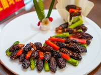 图集丨一场震撼视觉与味蕾的盛宴