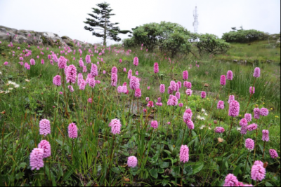 七夕将至，来滇中第一山，表白！