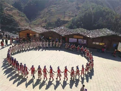 维西怎么玩？等着你前来解锁