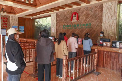 为了游客安心游，普洱这样做......