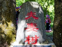 图集丨美丽南华 野菌飘香