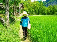 图集丨梦里桃花源——坝美