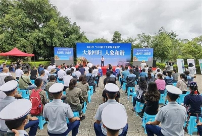 “大象旅行团”回家啦！普洱为它们准备了这些“大礼包”！