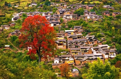 云雾山中一条龙——云龙记行