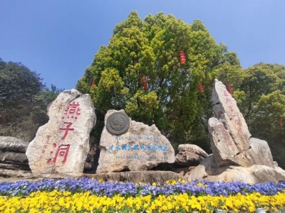 建水燕子洞景区8月1日暂停营业1天