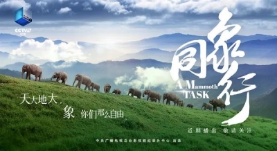 跋山涉水，“象”你而来！八集纪实系列片《同象行》明晚央视播出