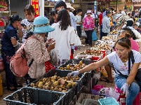 图集 | 吃菌季来袭 快来中国南华野生菌交易市场感受野菌飘香