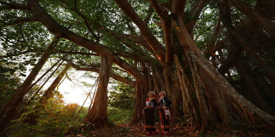 有奖征集！临沧旅游宣传口号、logo、旅游IP等你来定