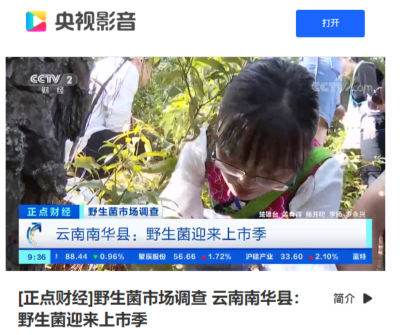  中国•南华第十八届野生菌云上美食文化节全网曝光量突破2.7个亿