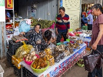 图集 | 吃菌季来袭 快来中国南华野生菌交易市场感受野菌飘香