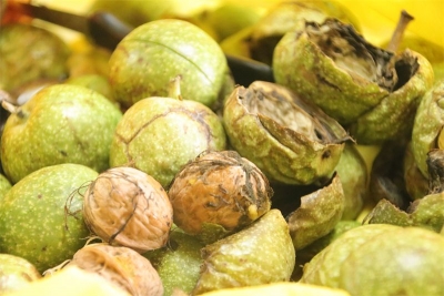 迪庆美食维西核桃 | 唤醒你的味蕾